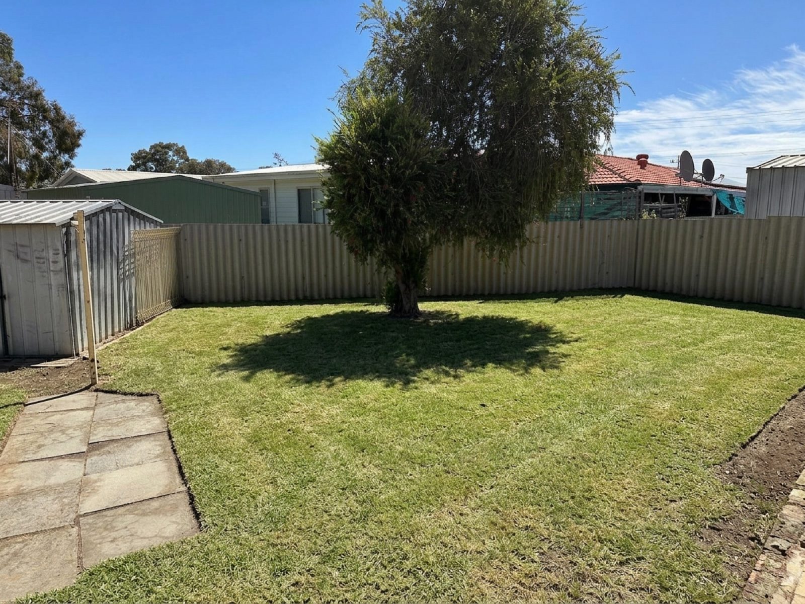 Lawn Area after