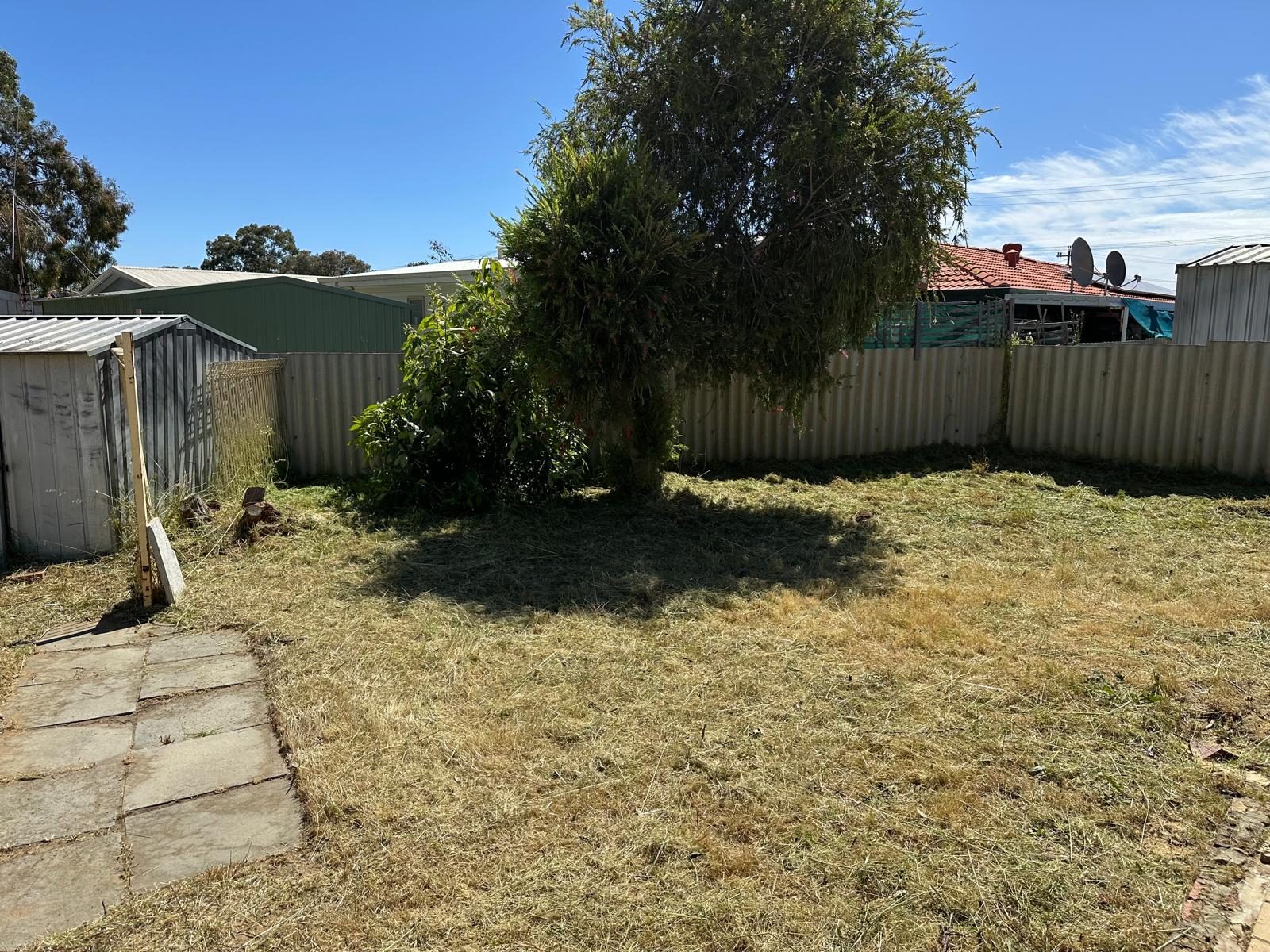 Lawn Area before