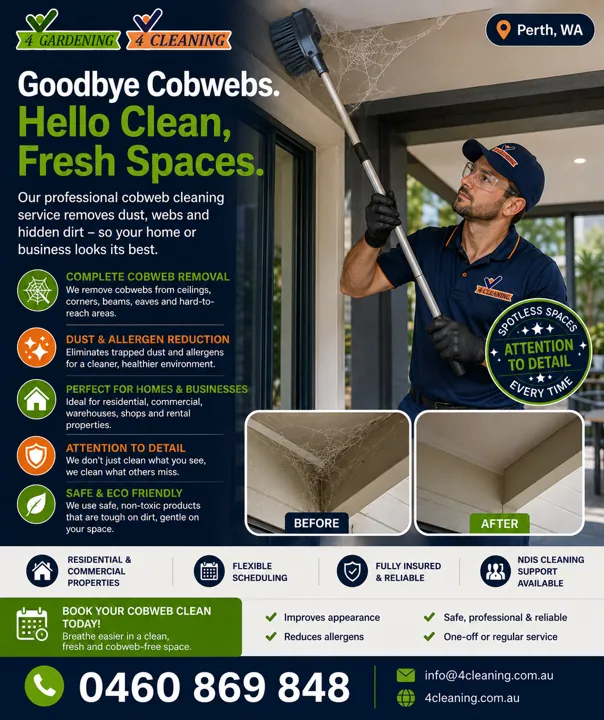 Goodbye cobwebs, hello clean